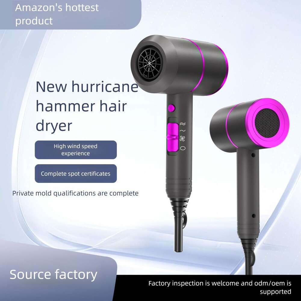 Designer Brand Salon And Home Blowing Negative Ion Wind Hair Dryer