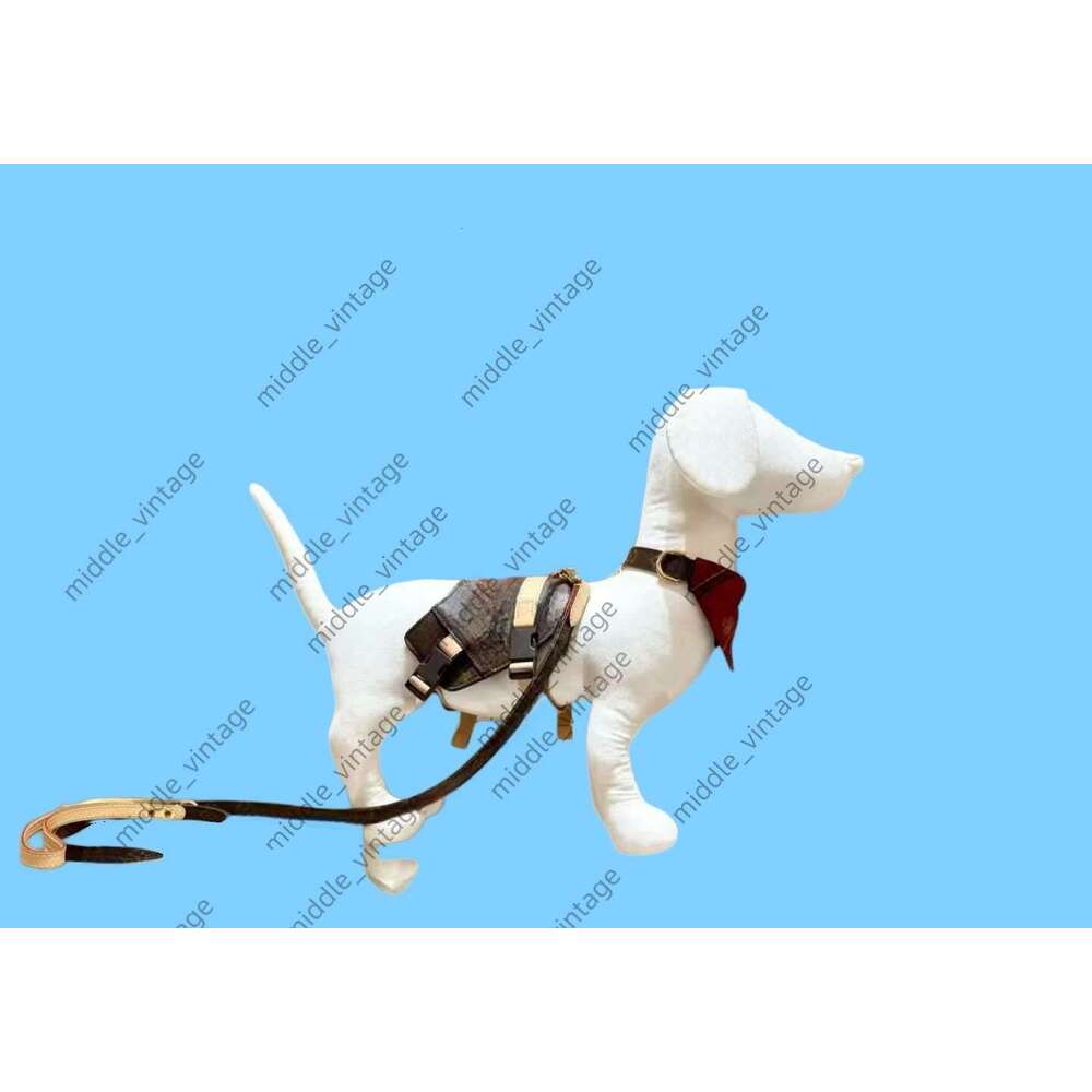 Designer Dog Saddle Chest Back Cat Leash Trendy Brand Collar Harness Small Medium Dog Vest Style Pet Supplies Anti-lost Luxury Pet Collar Traction Rop