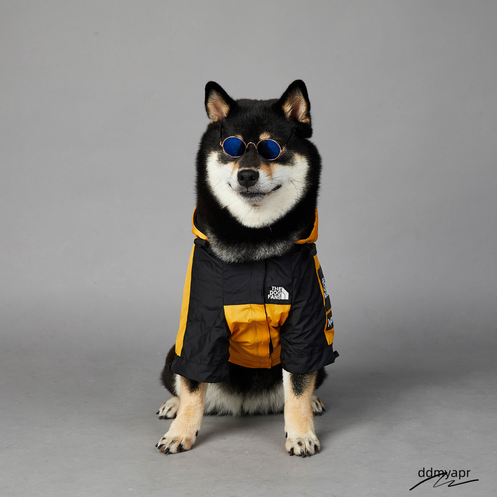 Warm Dog Coat Outdoor With Iconic Architectural Prints, Waterproof Windproof Autumn Coat, Mesh Breathable Lining ddmyday Jacket For Large, Small, Medi