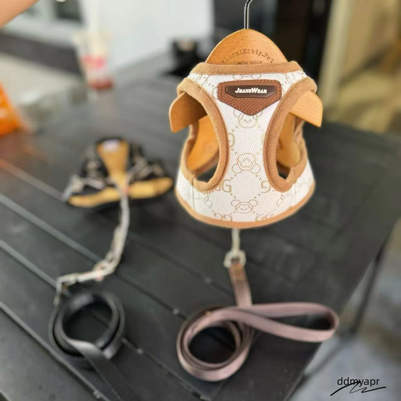 Harness With Leash Set, Escape No Pull Easy Walk Puppy Harnesses, Step-In Hot Stamping ddmydec Pattern Soft Dogs Vest For Medium Small Sized Dog XS B1