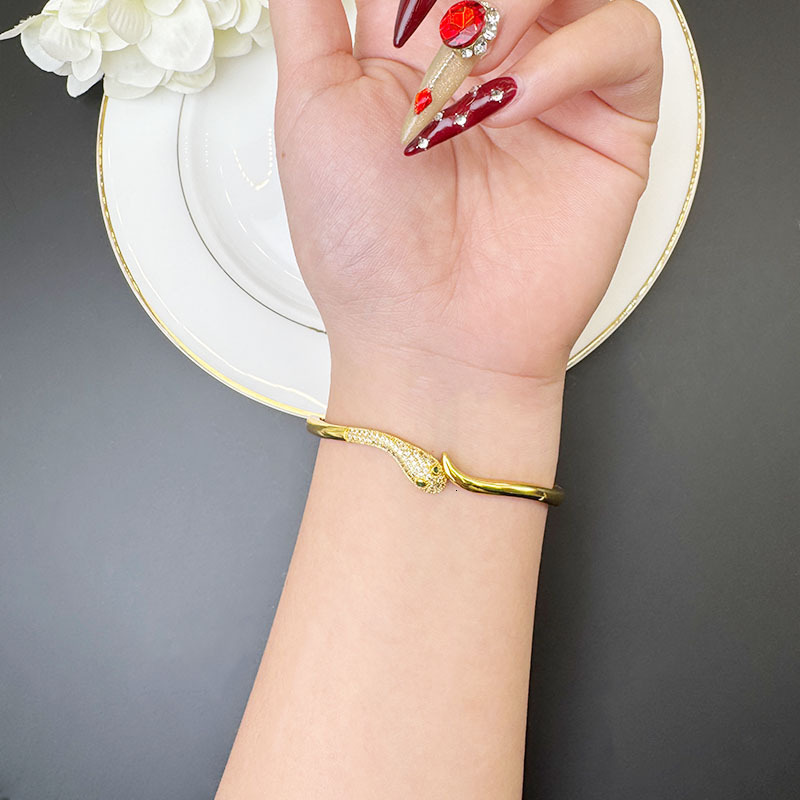 Vieam Gold Filled Bracelet with Dia Inlay, Snake Shape Clasp, Women's Niche Light Long-lasting Jewelry