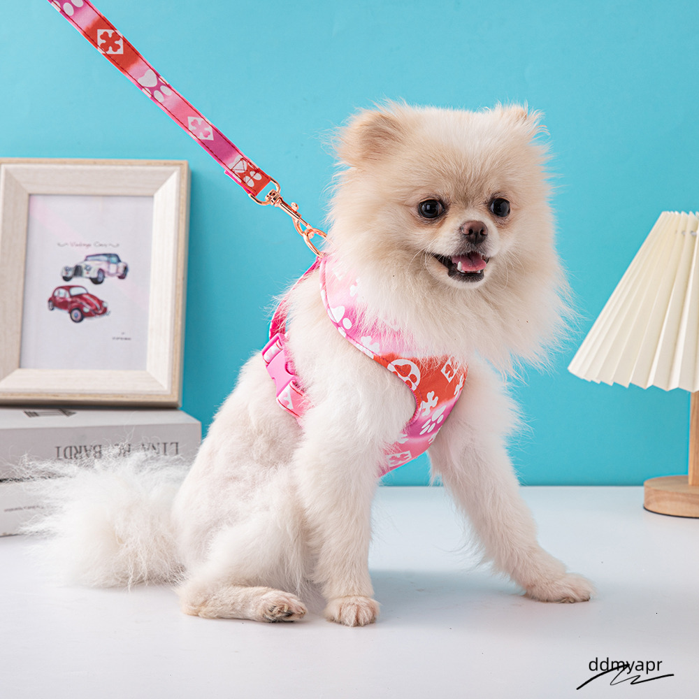 Bone Paw Print Pattern Gradient Color Harness, Pull Harness For Small Dogs, Soft Adjustable Step In No Choke Ddmydec Dog Harnesses And Leash Set, Blue