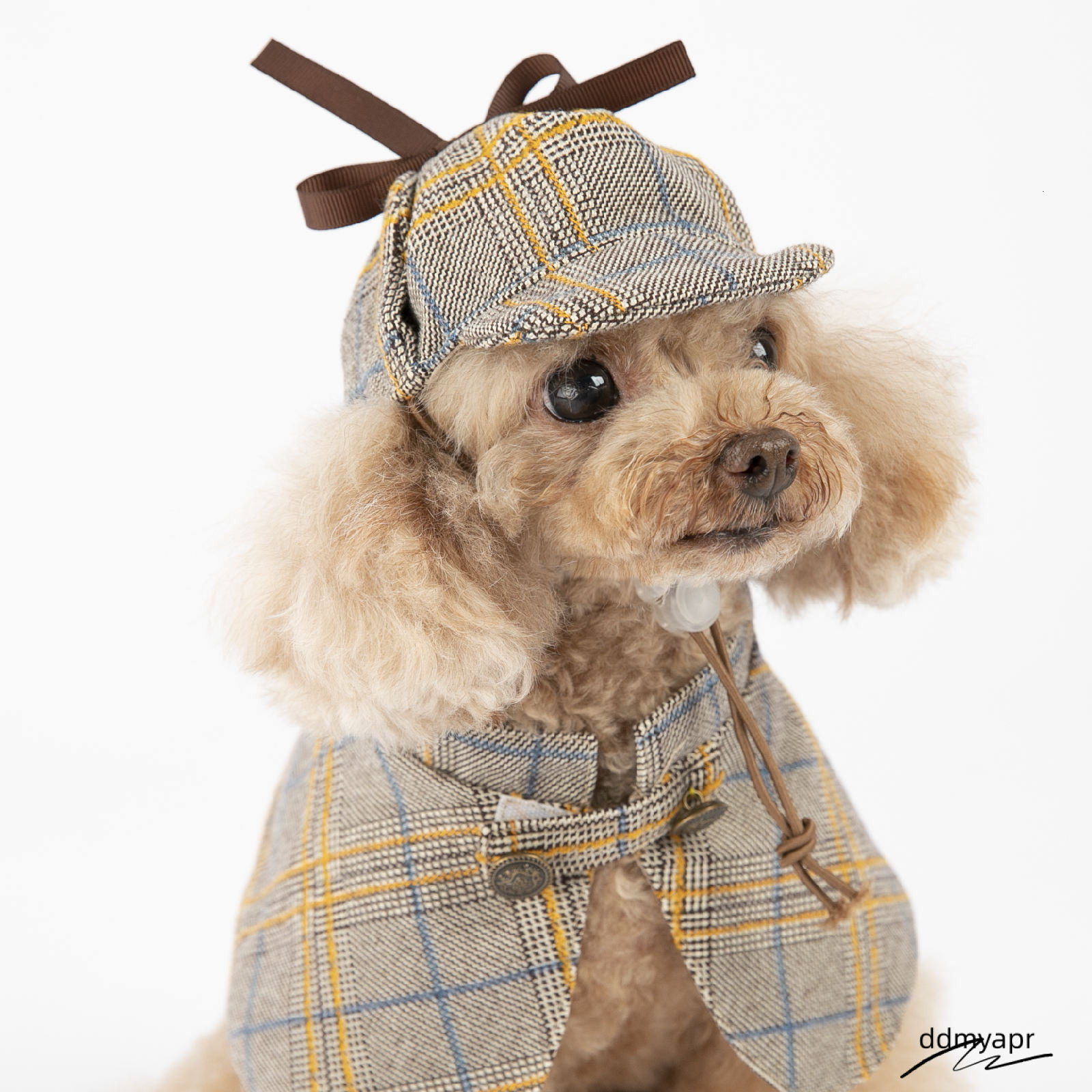 Dog Costume-Cute Detective Pet Clothes Set Halloween Cosplay Party Outfit Winter Fashion Cape Cloak Hat For ddmyday Small Medium Dog, Cat Kitten XXL A