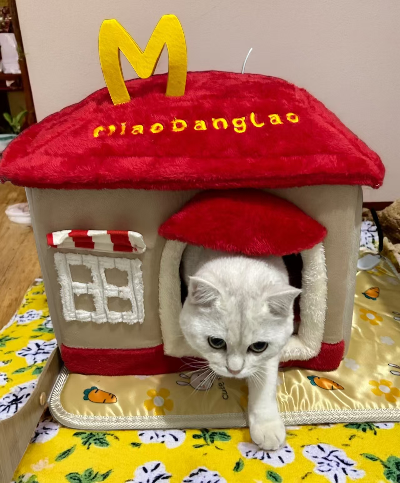Cat villa ssemi-closed removable and washable winter warm villa kennel pet tent cat house cute wind