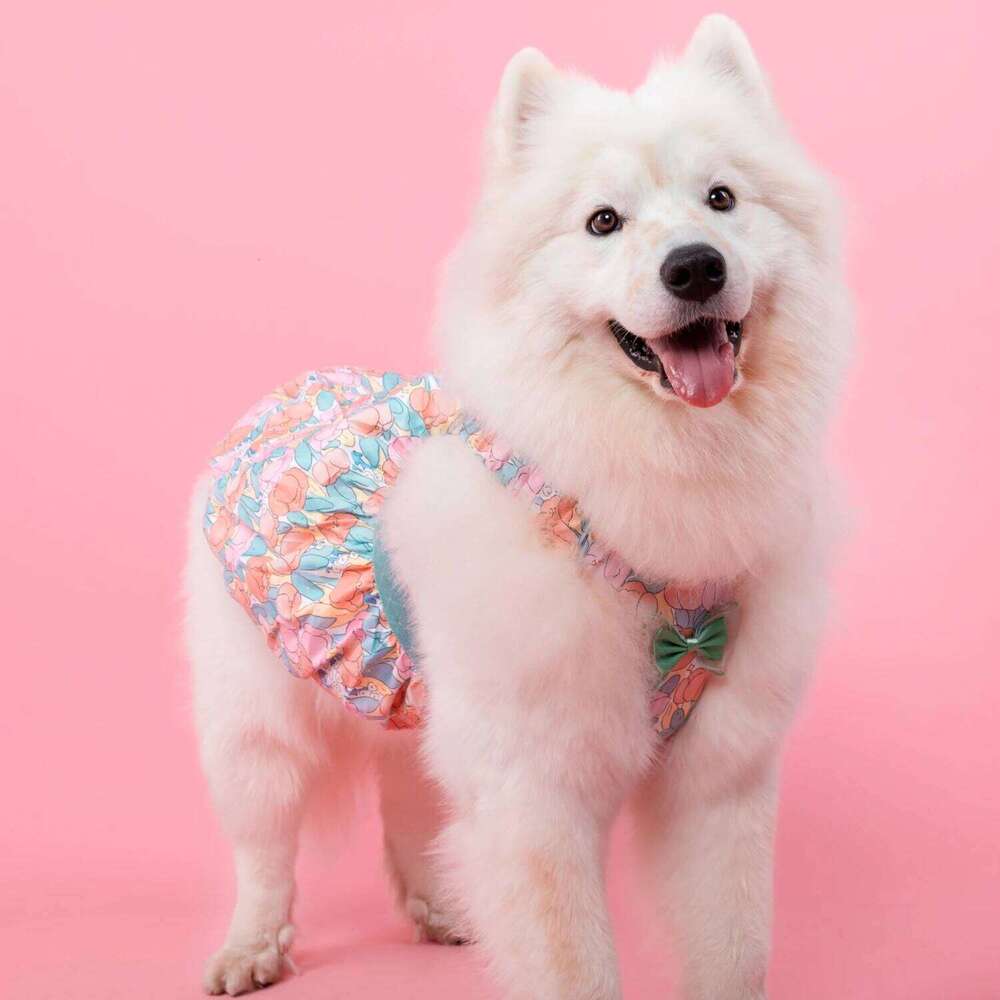 designer brand Dog Chest Back Shirt Pet Clothes Cute Sweet Skirt Suspender