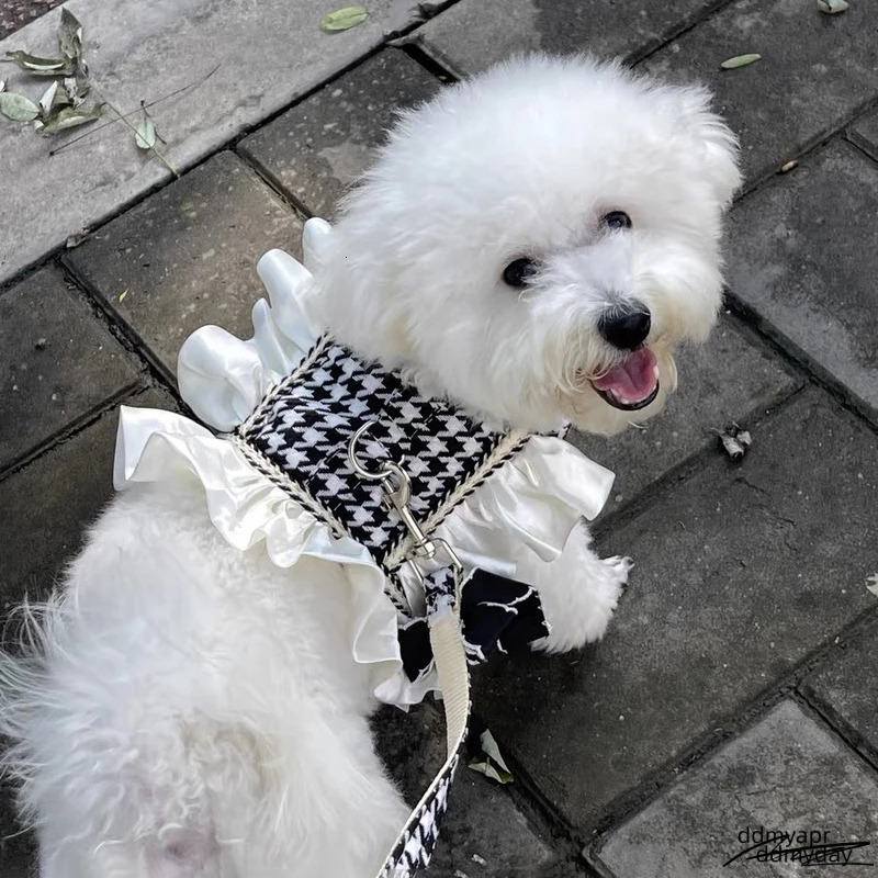 Princess Dog Harness With Leash Set, No Pull Adjustable Simple Magic Glue Puppy Pet Vest Harnesses Summer Pets Dress For Small Medium Dogs And ddmyday