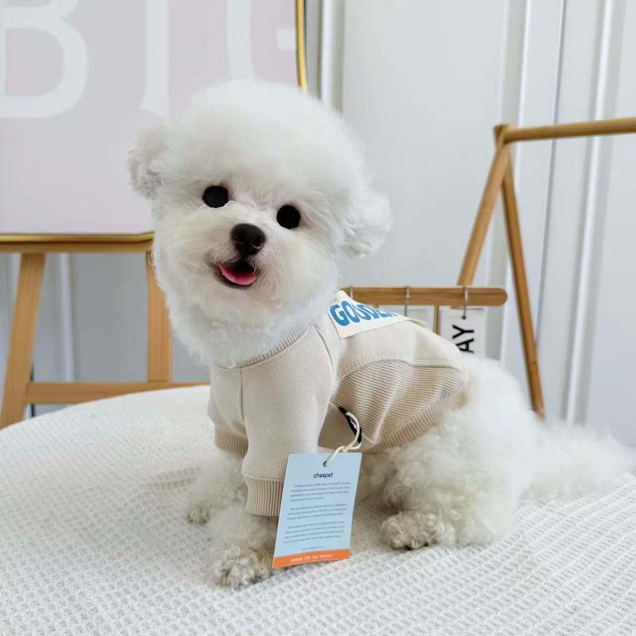 T1129 Dog clothes Teddy Poodle Bichon spring and autumn clothes sweatshirt winter clothes small dog two-legged clothes pet trendy brand autumn clothes