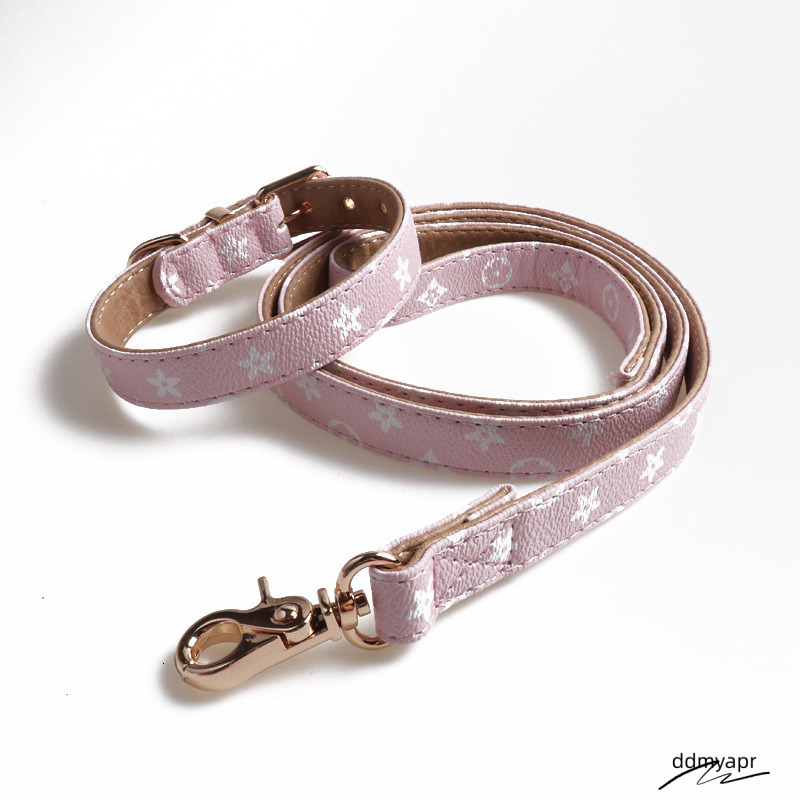 Classic Print Small Dogs, Soft Padded Dog Leather Collar With Gold Buckle, Durable Comfortable For Medium Ddmydec Dogs Daily Walking S B123 Ddmydec