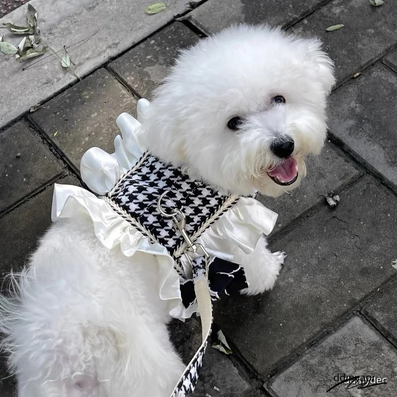 Princess Dog Harness With Leash Set, No Pull Adjustable Simple Ddmydec Magic Glue Puppy Pet Vest Harnesses Summer Pets Dress For Small Medium Dogs And