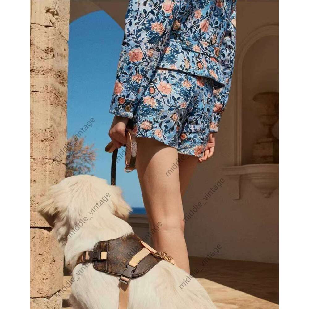 Designer Dog Saddle Chest Back Cat Leash Trendy Brand Collar Harness Small Medium Dog Vest Style Pet Supplies Anti-lost Luxury Pet Collar Traction Rop