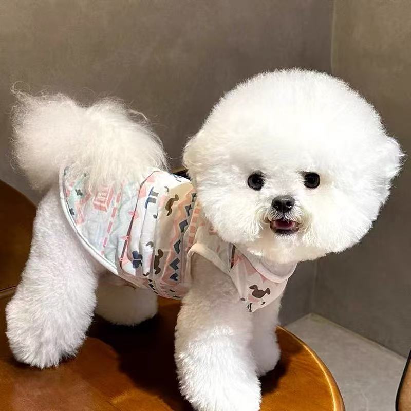 T1134 New autumn pet bottoming shirt Teddy Panda Cat Pomeranian Poodle small dog clothes autumn
