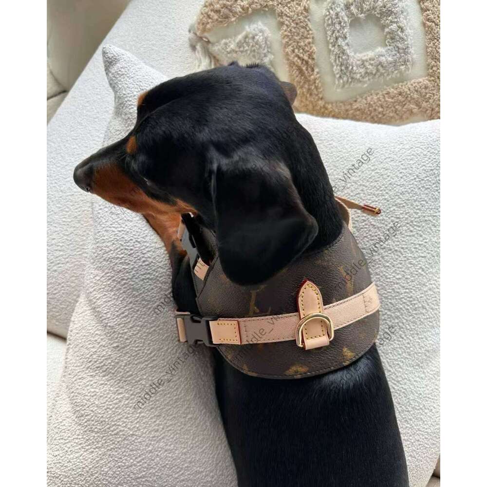 Designer Dog Saddle Chest Back Cat Leash Trendy Brand Collar Harness Small Medium Dog Vest Style Pet Supplies Anti-lost Luxury Pet Collar Traction Rop