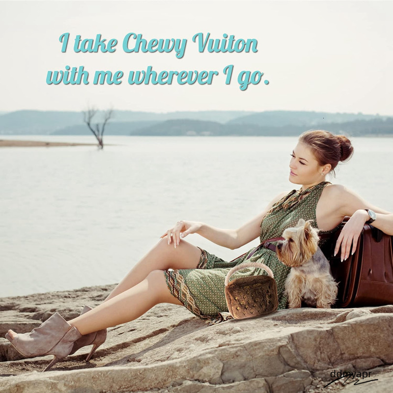 Plush Designer Ddmydec Dog Toys With Interactive Squeaker, Stimulating Pet Enrichment, Hine-Washable & Safe Materials For All Breeds, Bones, Handbag, 