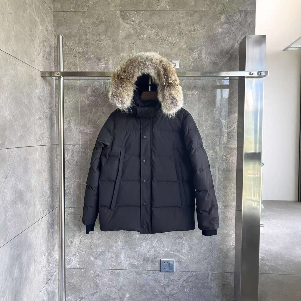 Down Jacket Wyndham 29 Large Goose Wolf Fur Collar Down Jacket 3808M