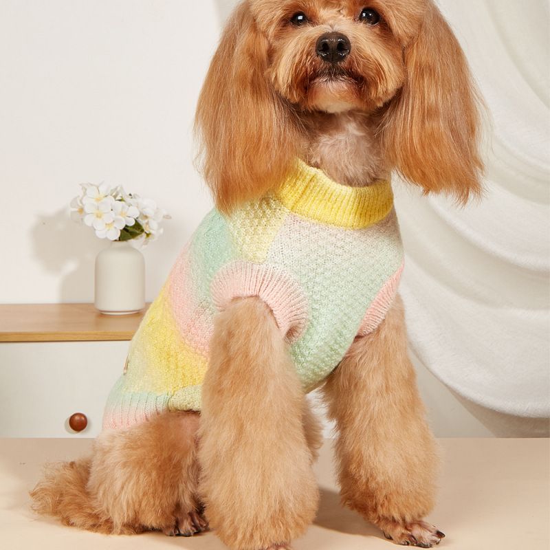Dog Apparel Pet Clothes Gradient Rainbow Candy Color Pet sweater Autumn/Winter Teddy Small Dog warm sweater