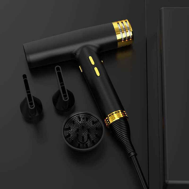 Designer Brand Hot Selling Brushless Motor Household Dormitory Negative Ion Constant Temperature High Speed Hair Dryer