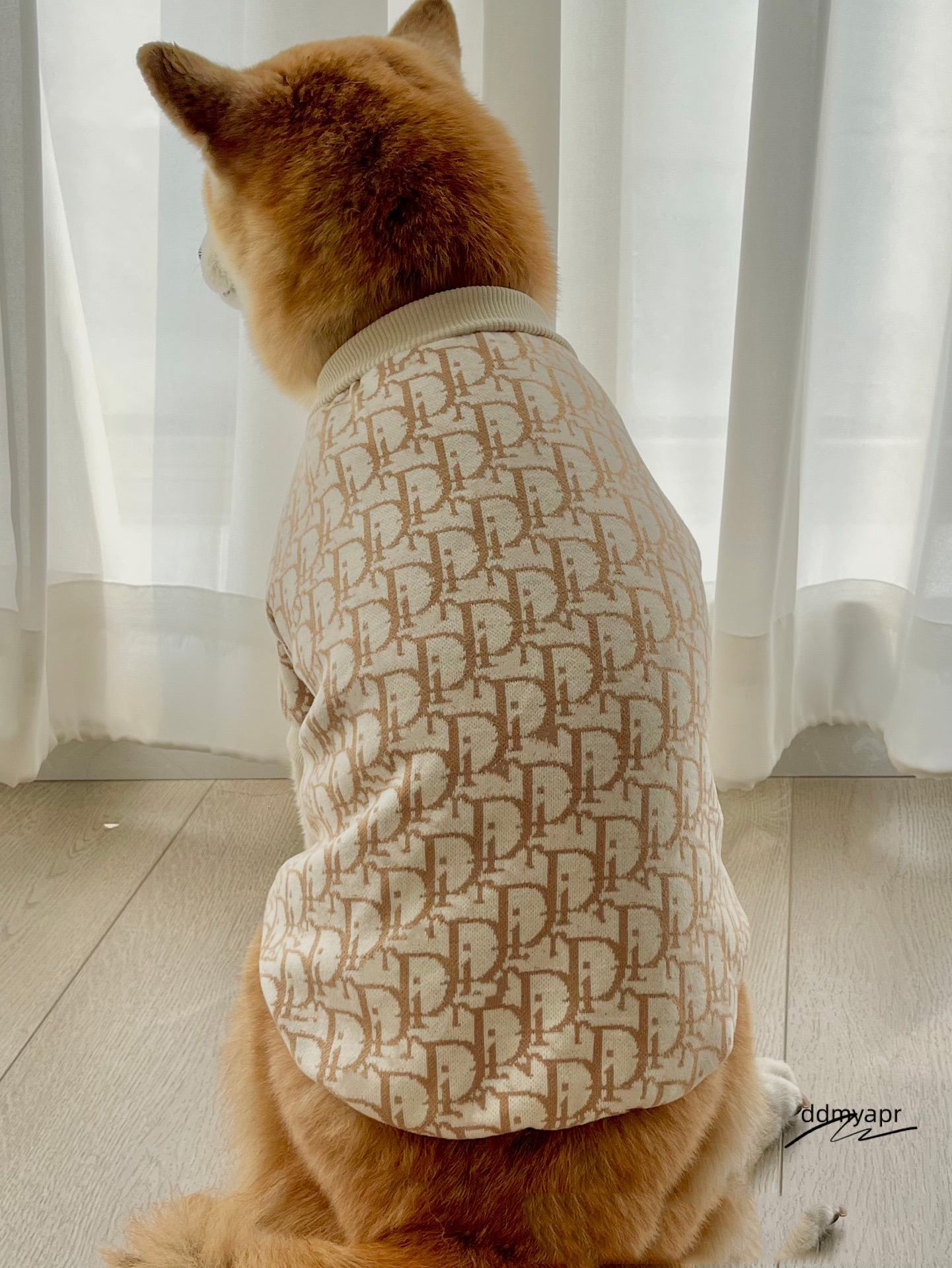 Ddmydec Designer Pet Sweater Large Dog Clothes Autumn And Winter Fashion Brand Warmer Than Bear Corgi Giant Expensive Teddy Golden Hair Samoyed