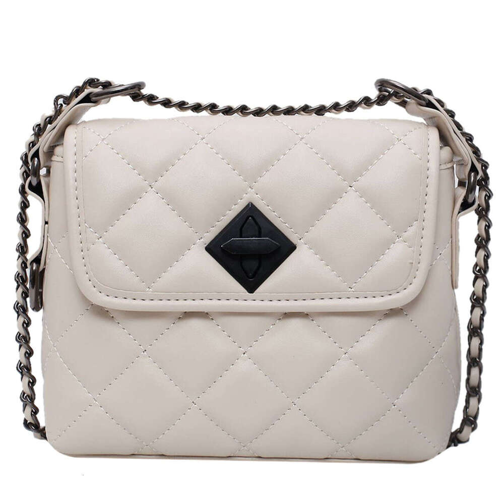High-Quality Niche Handbag Women 2025 New Autumn Winter Chain Single Shoulder Crossbody Bag Versatile Fashion for Ladies