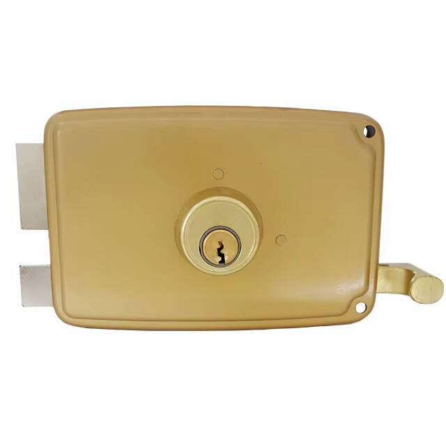 Car Door Hardware Button Iseo Electronic Mechanical Rim Night Latch Lock Brass Cylinder and Key