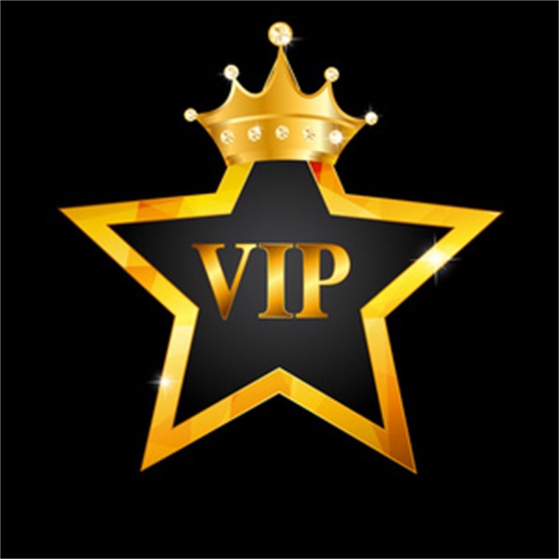 VIP customer special payment link 011