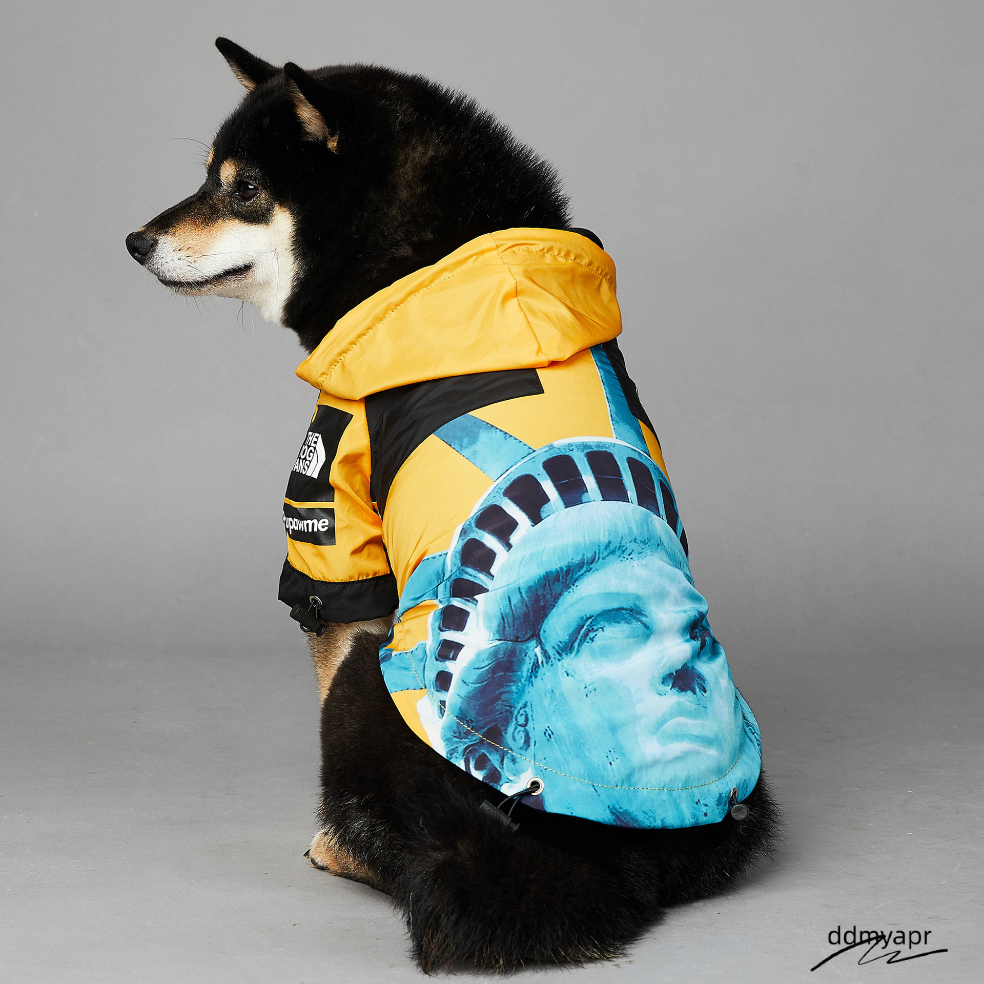 Ddmydec Warm Dog Coat Outdoor With Iconic Architectural Prints, Waterproof Windproof Autumn Coat, Mesh Breathable Lining Jacket For Large, Small, Medi