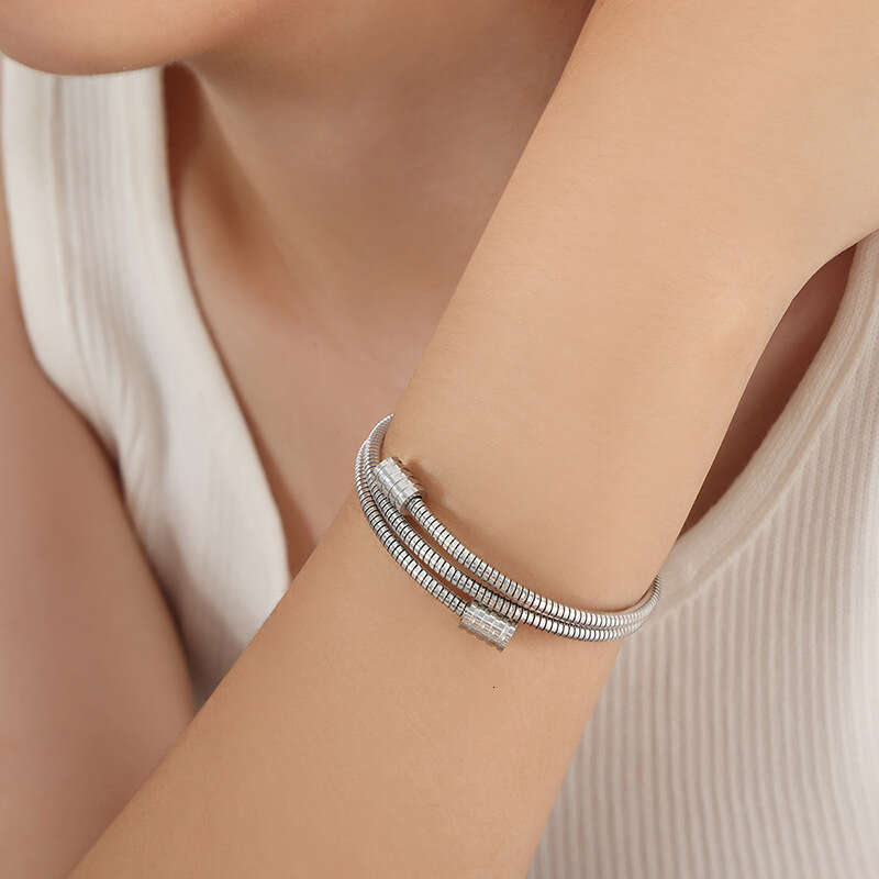 DH collections Individualistic Ins - style Minimalist Snake - bone Chain Multi - layer Stackable Titanium - steel Gold - plated Bracelets for Women