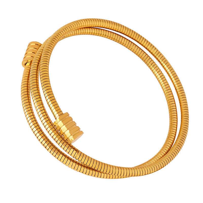 DH collections Individualistic Ins - style Minimalist Snake - bone Chain Multi - layer Stackable Titanium - steel Gold - plated Bracelets for Women