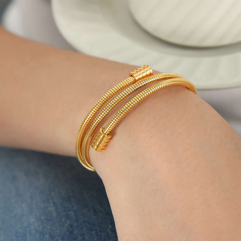 DH collections Individualistic Ins - style Minimalist Snake - bone Chain Multi - layer Stackable Titanium - steel Gold - plated Bracelets for Women
