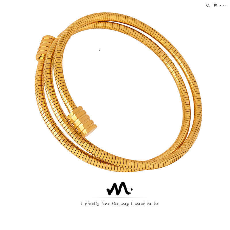 DH collections Individualistic Ins - style Minimalist Snake - bone Chain Multi - layer Stackable Titanium - steel Gold - plated Bracelets for Women