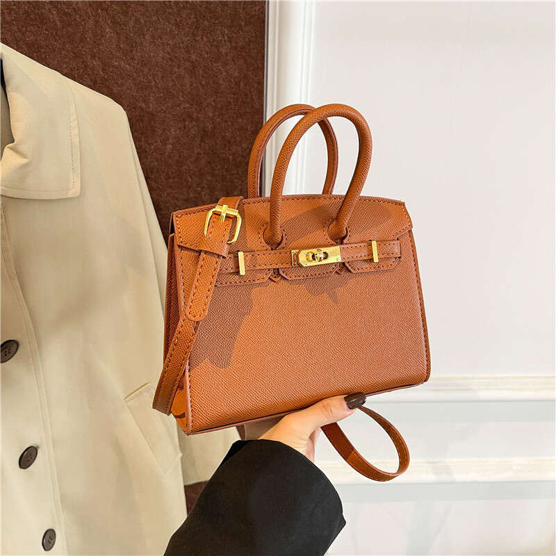 2025 Autumn New Handheld Crossbody High-End Fashion Simple Versatile Lock Buckle Stylish Women's Bag