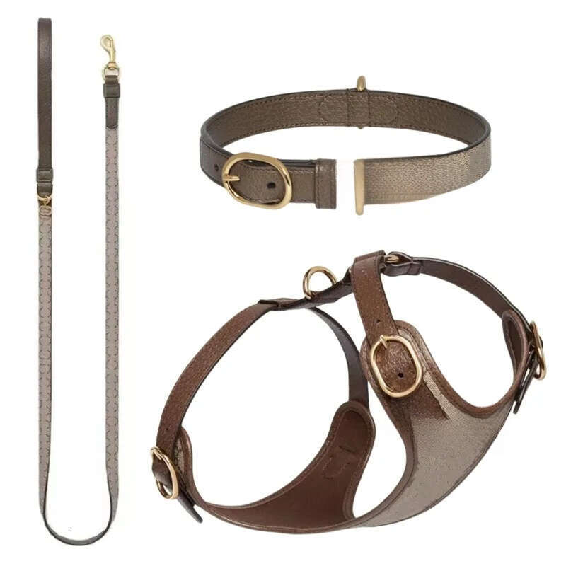 Designer Collar and Leash Set Classic Letter No Pull Dog Harness Soft Adjustable Luxurious Leather Step in Puppy Vest with Poop Bag Dispenser S B159 F