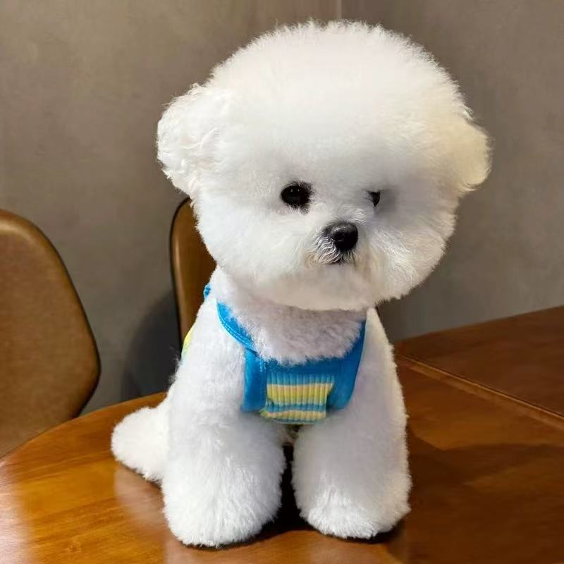 T1137 Pet striped tank top for Teddy Bichon small dog cat Yorkshire terrier Maltese dog clothes