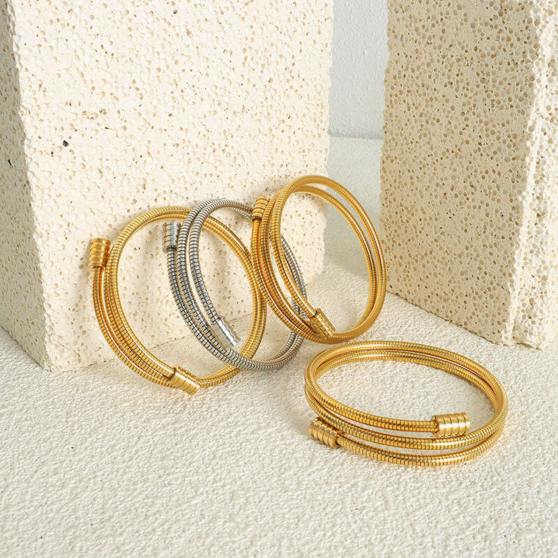 DH collections Individualistic Ins - style Minimalist Snake - bone Chain Multi - layer Stackable Titanium - steel Gold - plated Bracelets for Women