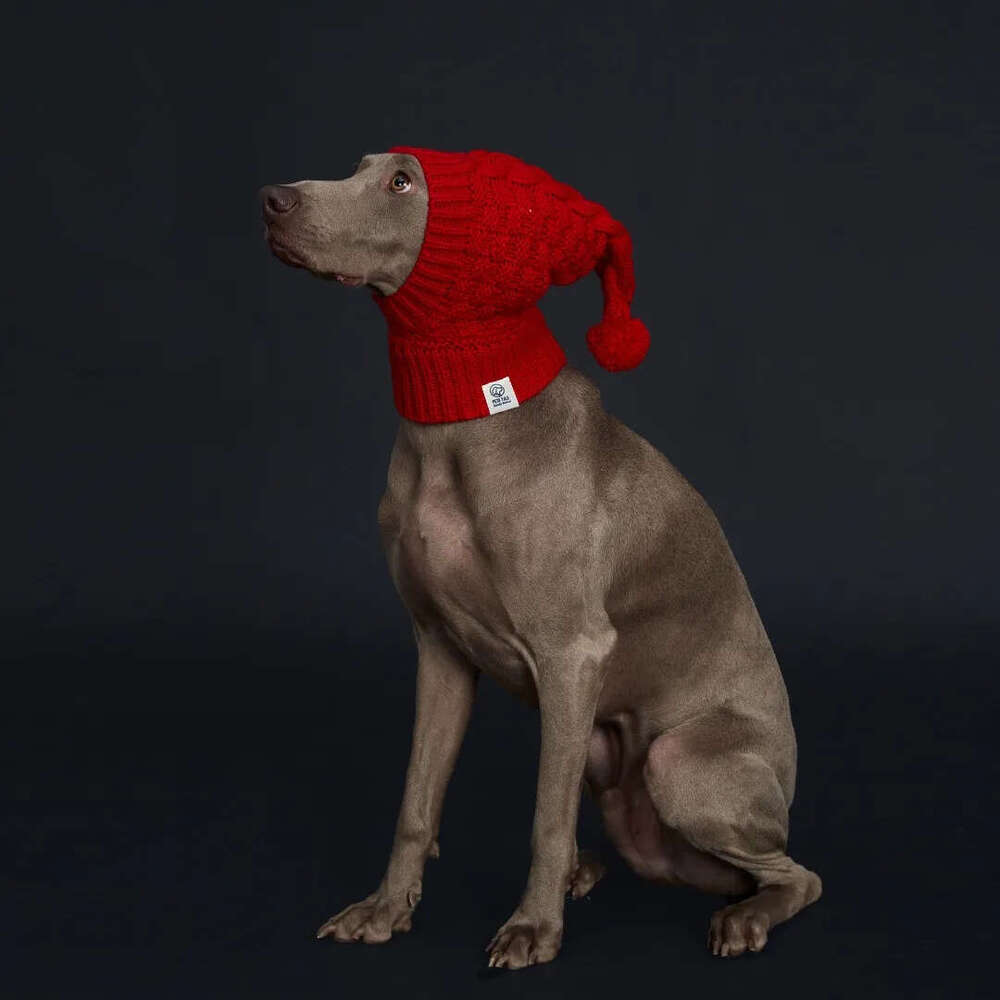 Italian Greyhound & Weimaraner: Cozy Red Knitted Pom-Pom Dog Hat in Waffle Pattern Free shipping