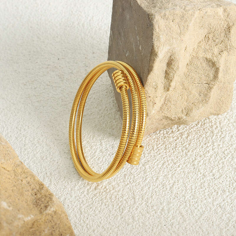 DH collections Individualistic Ins - style Minimalist Snake - bone Chain Multi - layer Stackable Titanium - steel Gold - plated Bracelets for Women