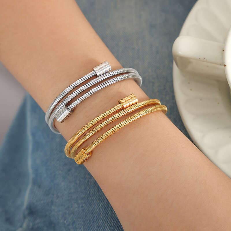 DH collections Individualistic Ins - style Minimalist Snake - bone Chain Multi - layer Stackable Titanium - steel Gold - plated Bracelets for Women