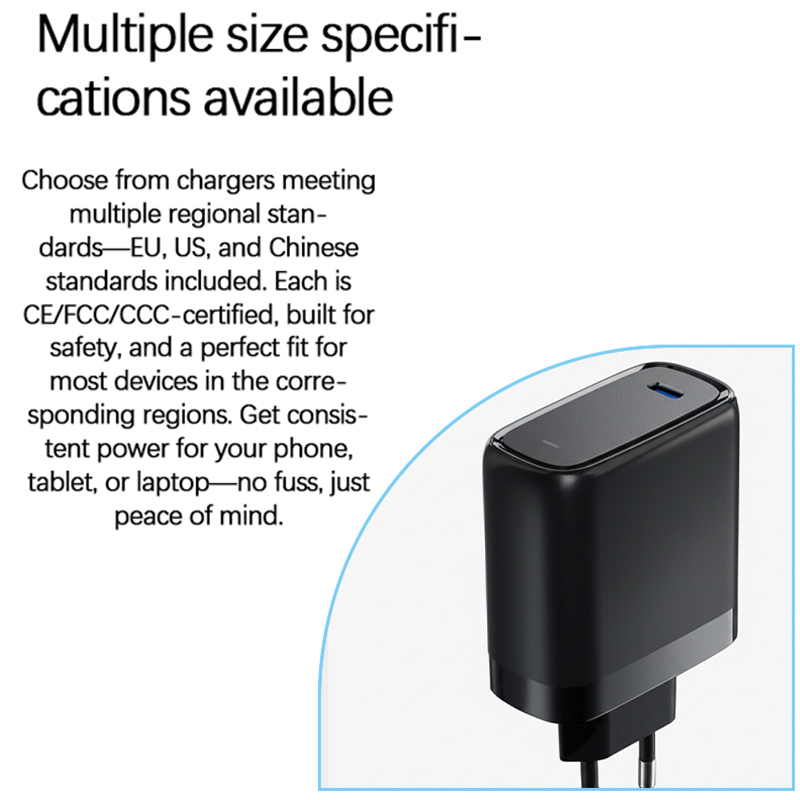 EU Compliant Customizable 65 Watt Power Delivery (PD) Fast Charging Hub for USB Type C Gadgets - RY0651-1E