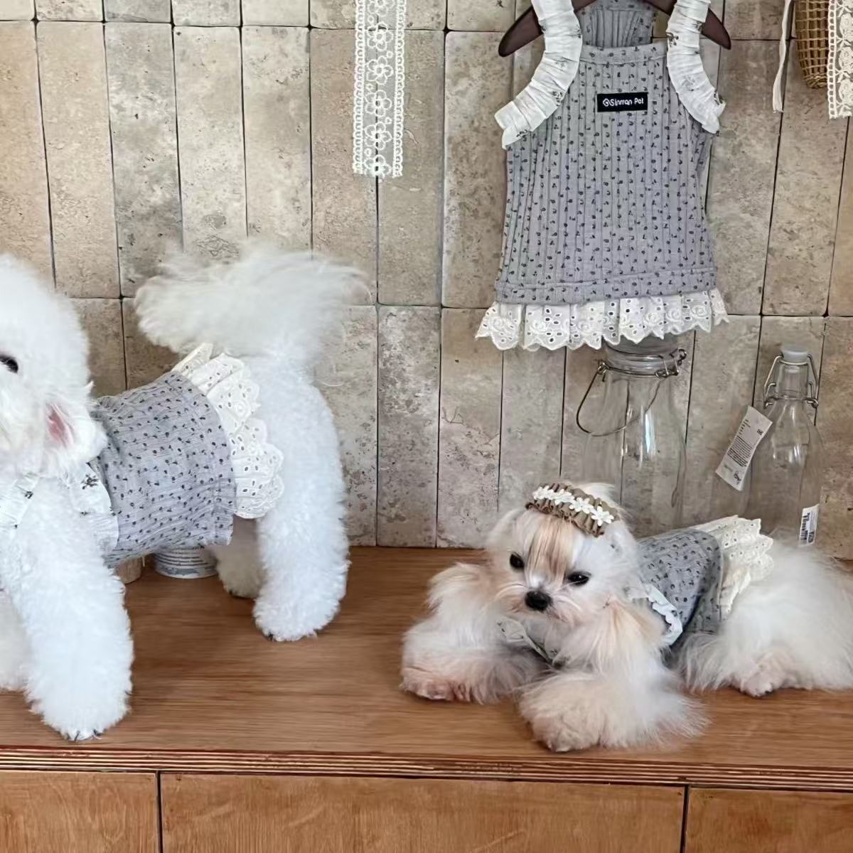 T1151 Pet Knitted Printed Vest Dress Japanese and Korean ins Style Lace Princess Dress
