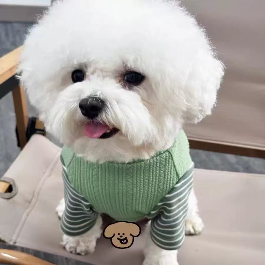 T1145 Pet cat Teddy Bichon dog clothes autumn and winter new D-shaped stitching sweatshirt comfortable and warm