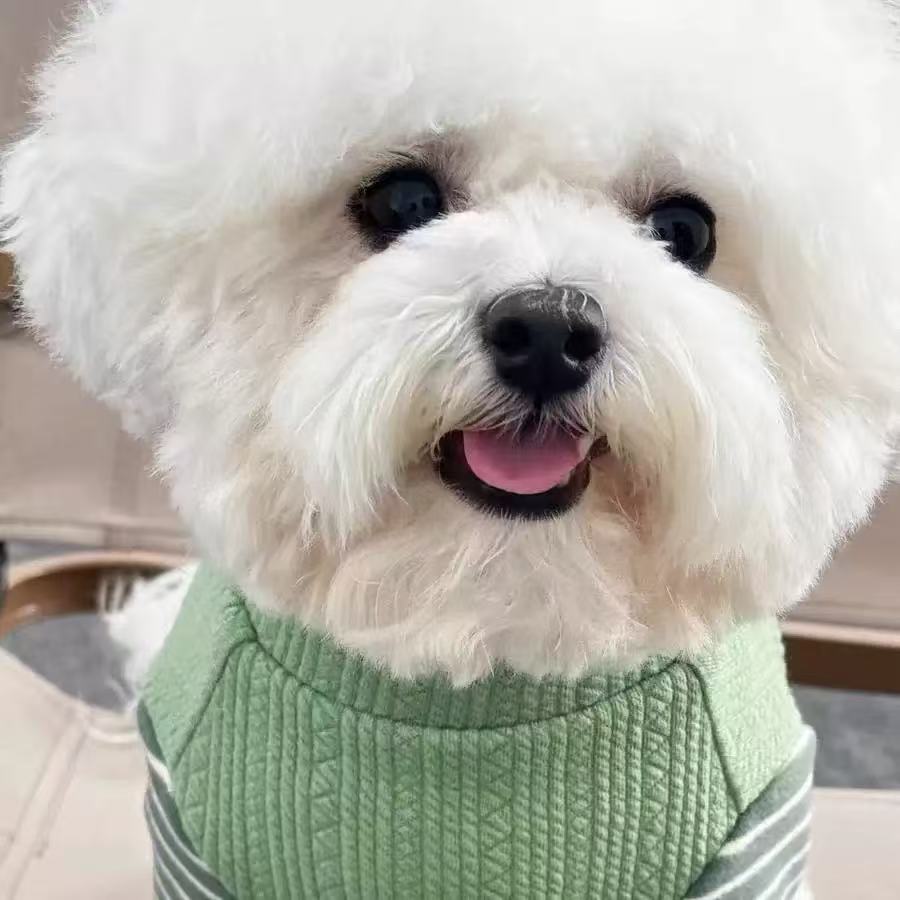 T1145 Pet cat Teddy Bichon dog clothes autumn and winter new D-shaped stitching sweatshirt comfortable and warm