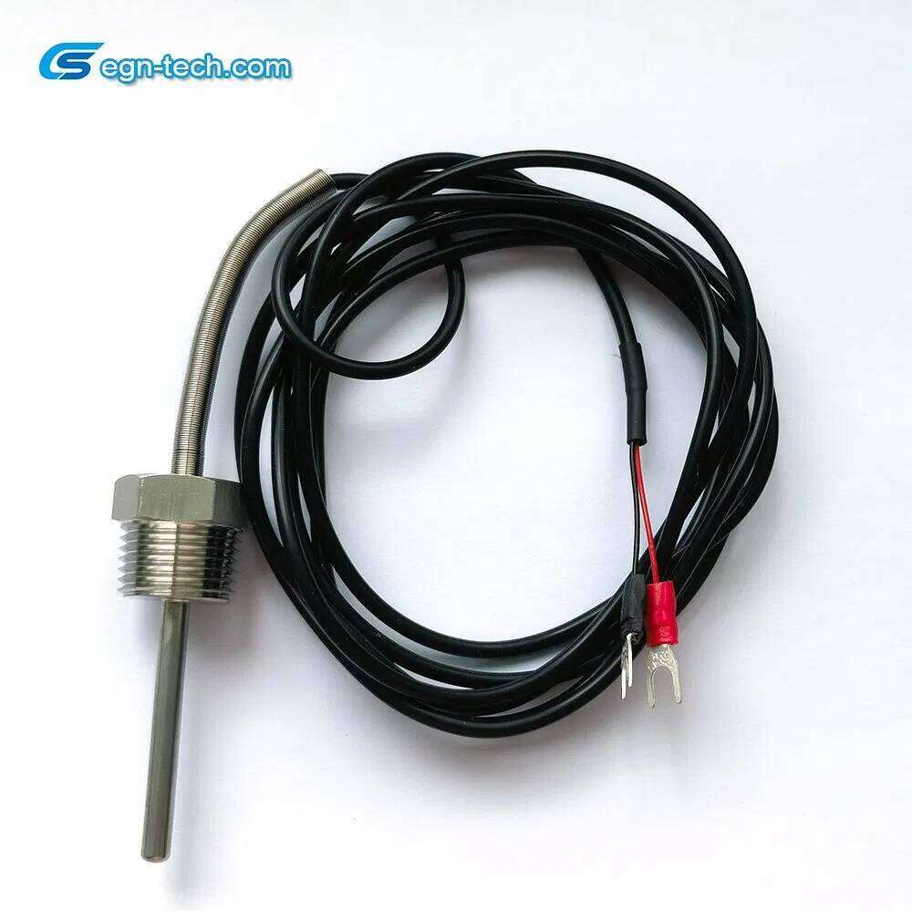 Manufacturer Sensor/Thermistor for Automotive Water Control Eg-N055 - and Digital Temperature Sensor