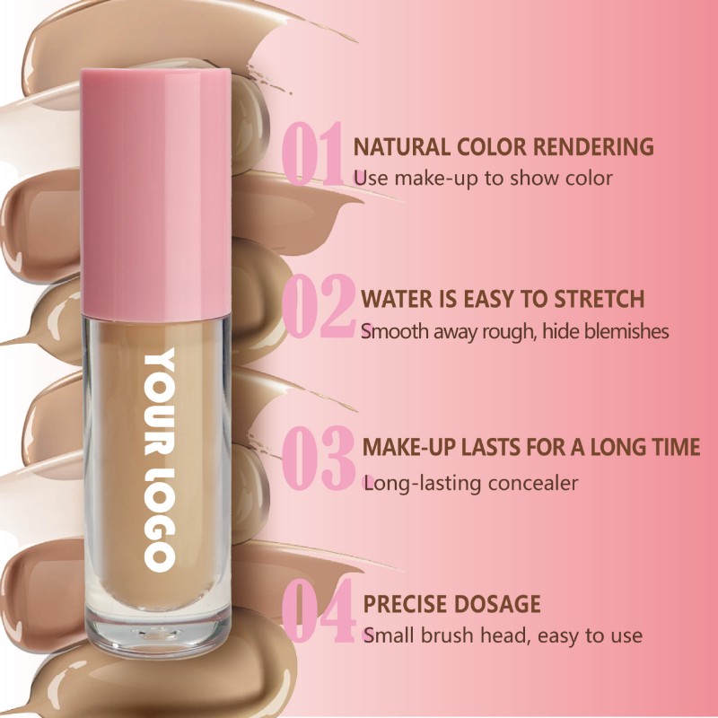 6ml Customizable OEM Logo Waterproof Concealer with Oil-Control for Private Labels