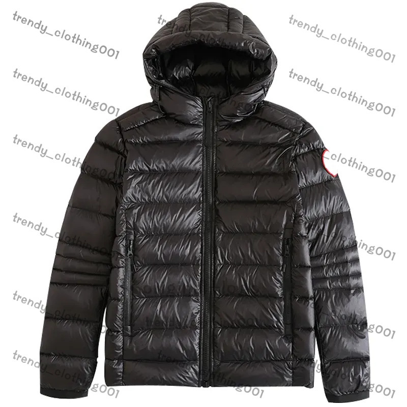 High Quality Goose Jacket Mens Parka White Duck Down Jacket Goosecoats Winter Outwear Womens Parka Ladys Coat With Badge S-Xxl Top Quality Canadas Jackets D33