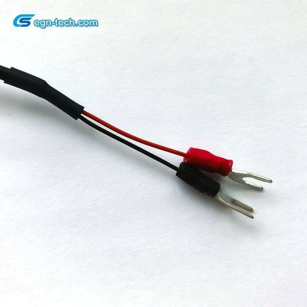 Manufacturer Sensor/Thermistor for Automotive Water Control Eg-N055 - and Digital Temperature Sensor