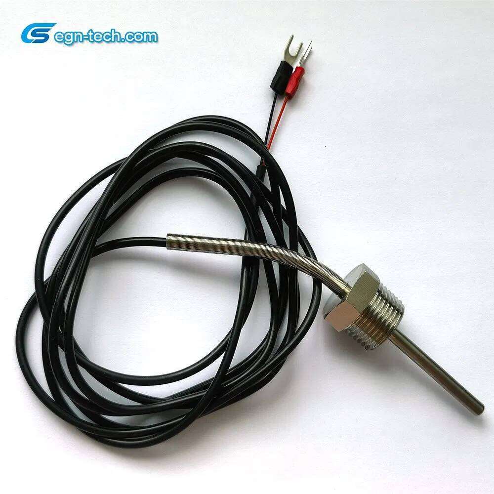 Manufacturer Sensor/Thermistor for Automotive Water Control Eg-N055 - and Digital Temperature Sensor