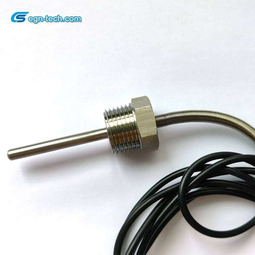Manufacturer Sensor/Thermistor for Automotive Water Control Eg-N055 - and Digital Temperature Sensor