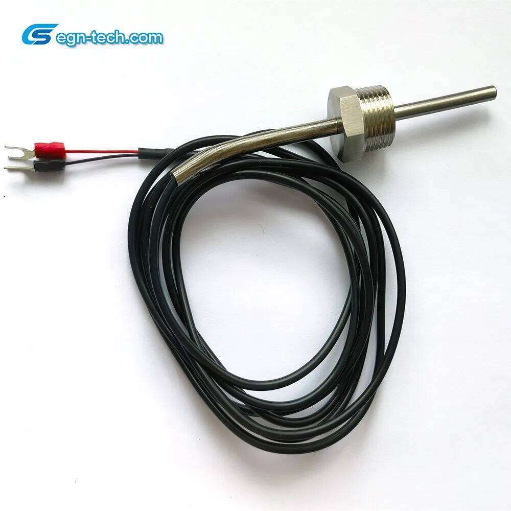 Manufacturer Sensor/Thermistor for Automotive Water Control Eg-N055 - and Digital Temperature Sensor