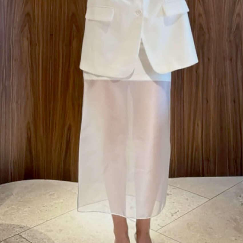 Summer New Design Sense Sheer High Waist Skirt For Women Fashionable Elegant Casual Commuter Style B3