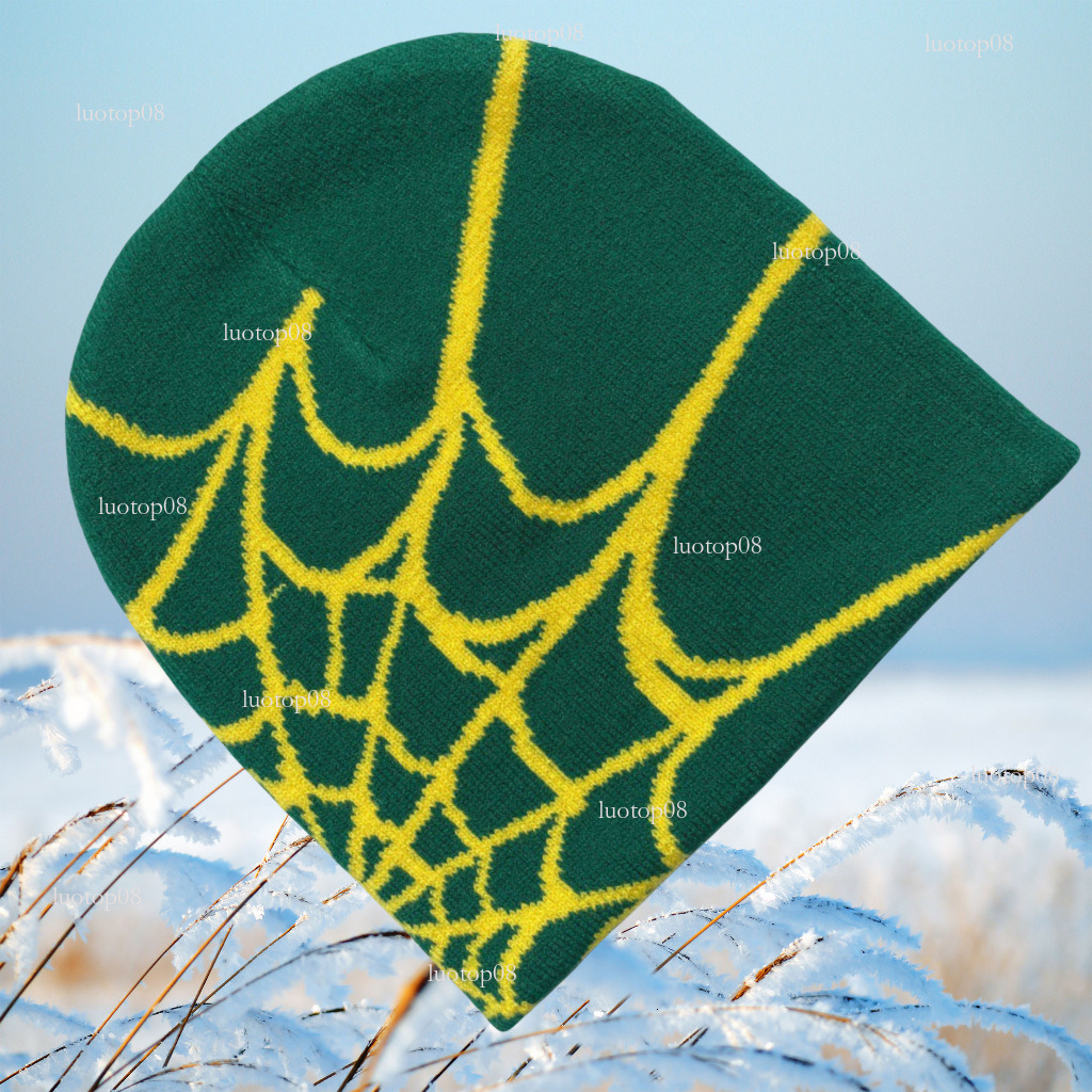 fashion designer 2025 new spider mesh jacquard autumn winter coldproof warm knitted hat unisex trendy luxurious casual hat
