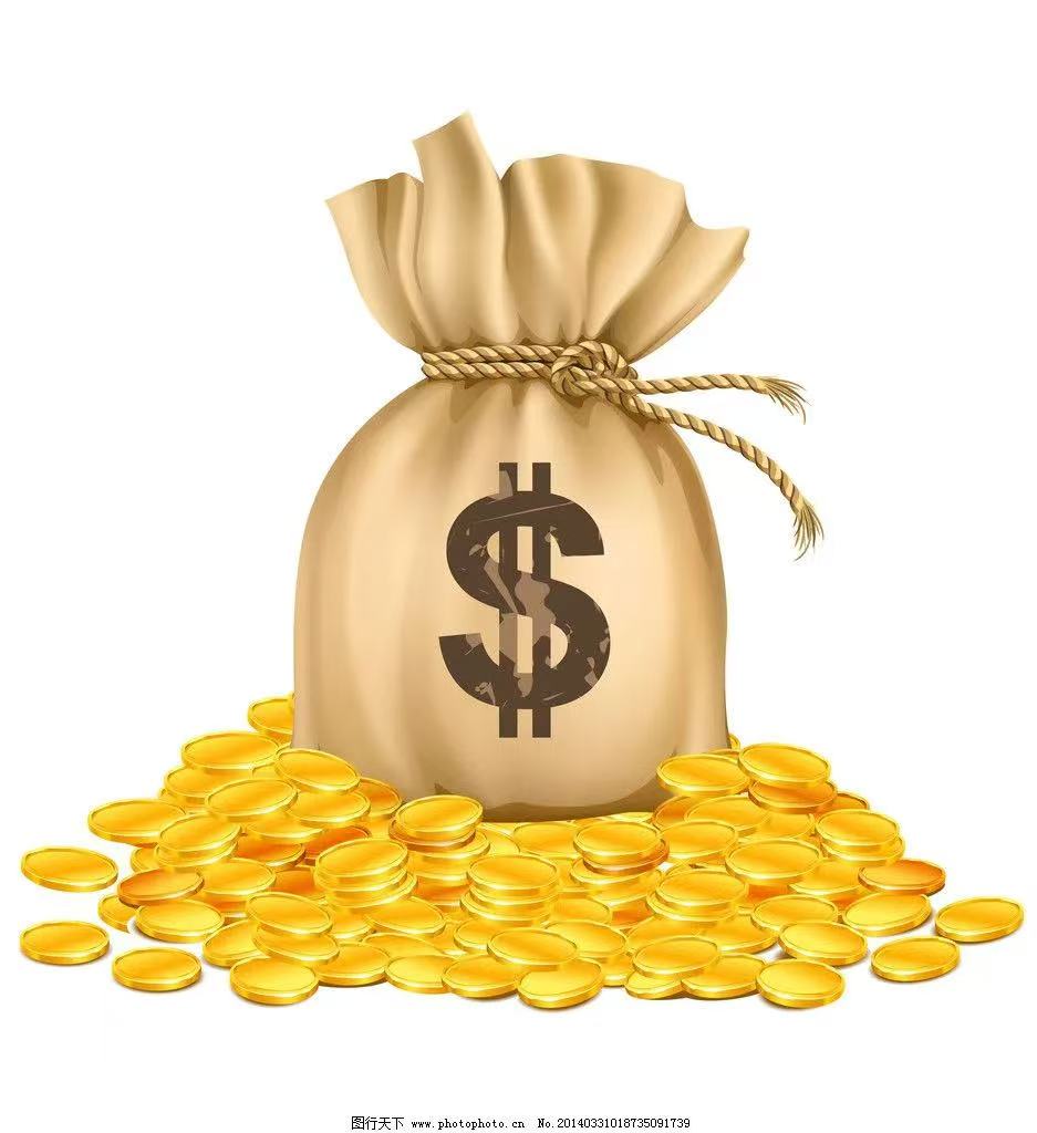 Bag Customization options or supplement additional costs moonholder03